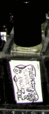 Aromatherapy Essential Oil Sweet Musk Aroma Pure Oils One ounce bottle